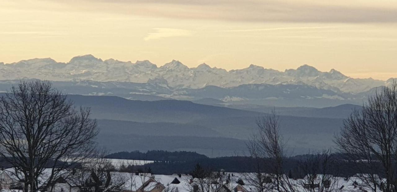 Ferienwohnung Francois Höchenschwand Zewnętrze zdjęcie